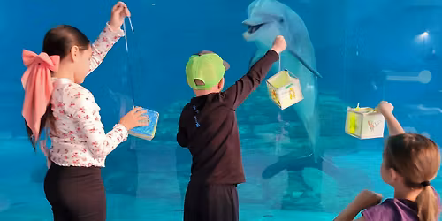 Night at the Aquarium