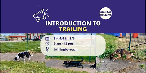 Introduction to Trailing (2-week course)