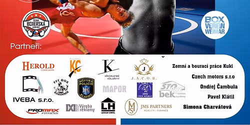 Boxe\u0159i d\u011btem 15. ro\u010dn\u00edk