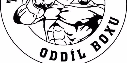 Boxe\u0159i d\u011btem 15. ro\u010dn\u00edk