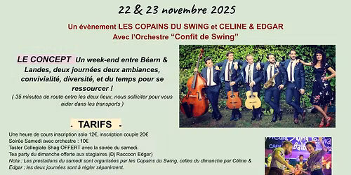 Mini Swing'N'Bal, \u00e9dition sp\u00e9ciale !