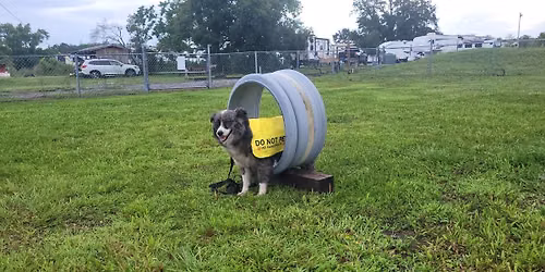 RV DOG PARADE - 2nd Annual Fall Dog Parade at Crosslake RV Park