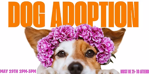 DOG ADOPTION EVENT