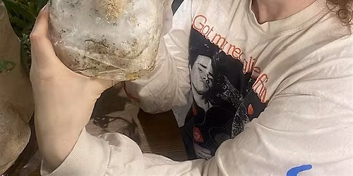 Learn to Grow Your Own Mushrooms and Take Home a Live Grow Kit