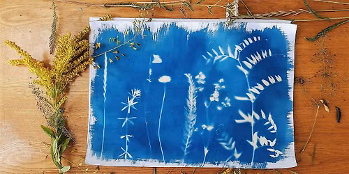 DIY Cyanotype Printing