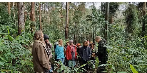 Deep Ecology Evening Workshop