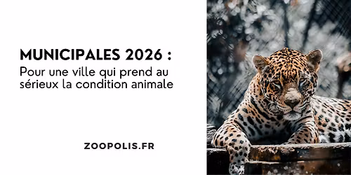 LILLE (59) : Manif Municipales 2026 \/ charte PAZ 