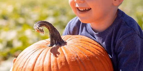 Pumpkin \u2018Acres