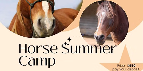 Summer camp — Affordable Riding Lessons