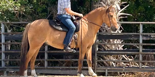 Lucky Hooves Dressage Schooling Show
