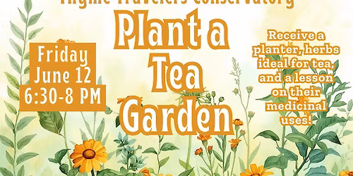 Plant a Tea Garden