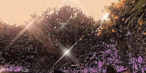 Sunset SoundBliss® Sound Bath