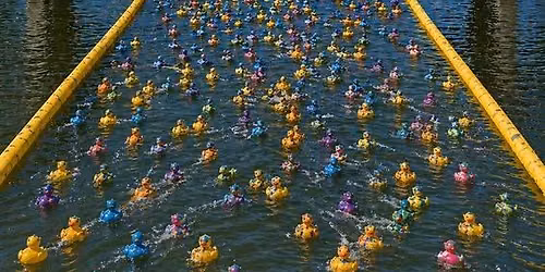Myrtle Beach Duck Festival: Habitat for Humanity of Horry County