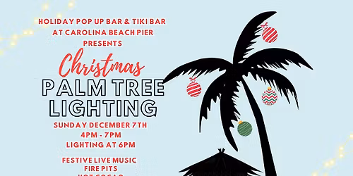 Christmas Palm Tree Lighting