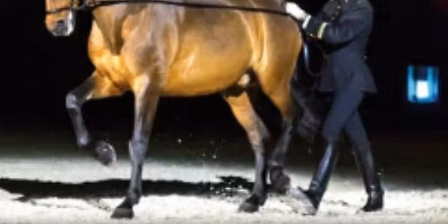 Christmas season excursion