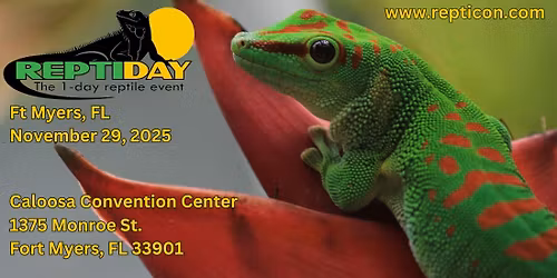 Reptiday Ft Myers