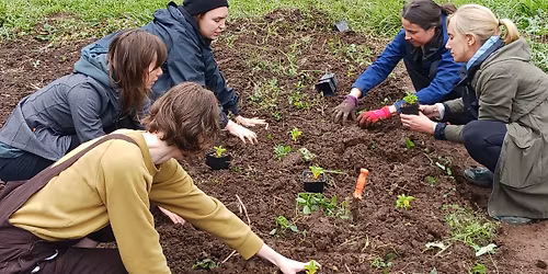 Gardening for Medicine Series