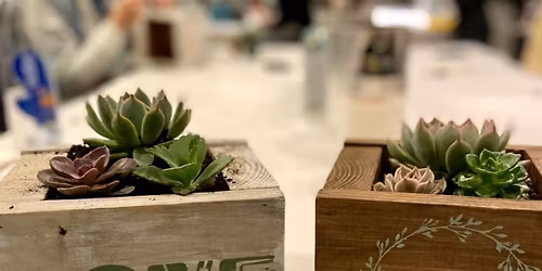 Sips and Succulents at AR Workshop Frederick