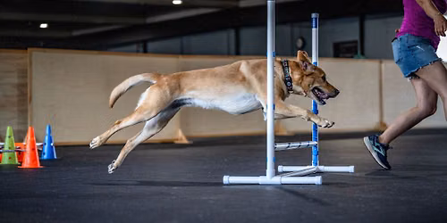 Agility Foundations
