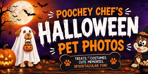 Halloween Pet Photos at Poochey Chef!