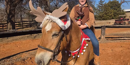 I Want a Pony (and tack) for Christmas Sale!