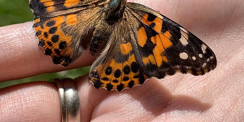 General Loss Support Group - No Children