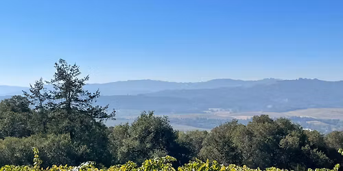 Sue Rink's Ranch in Cloverdale