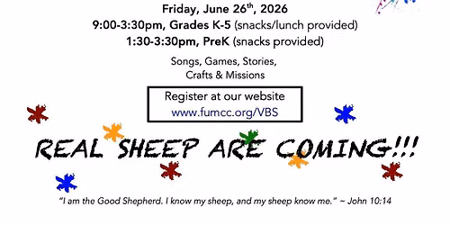 VBS: the King of Love
