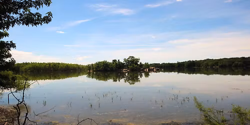 Intro to Hiking: Louisville Swamp