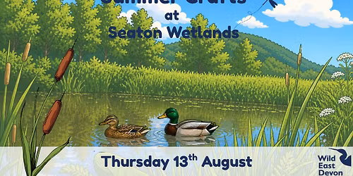 Summer Crafts at Seaton Wetlands