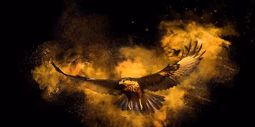 ALCHYMISTA: Movement Medicine\u00ae workshop s Davidom Mooney