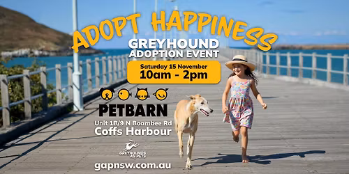 Greyhound Adoption Event | Coffs Harbour  