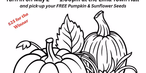 Lima Pumpkin Festival Kids Coloring Contest