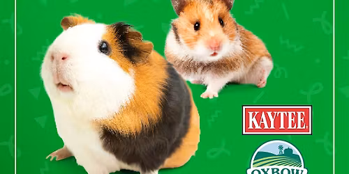 Small Animal Pet Fest