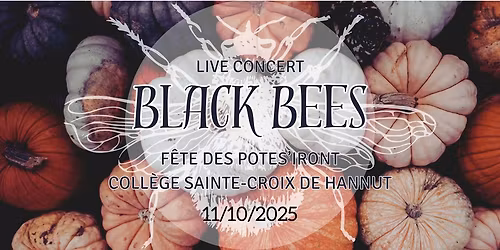 CONCERT BLACK BEES à la FÊTE DES POTES'IRONT du Lycée et Collège Ste-Croix et Notre Dame