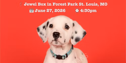 Dalmatian meet up!