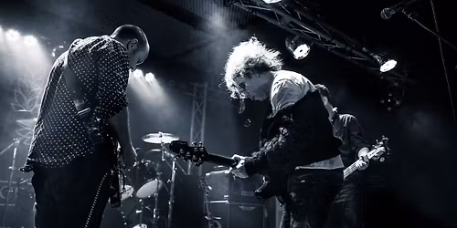 The Cureheads + Siouxsie and the Budgies