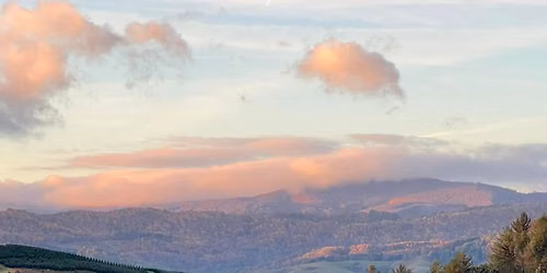 Growing Abundance & Herbal Medicine, a Permaculture workshop