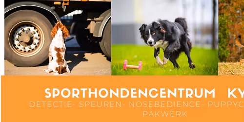 Seminar 3 daagse Basics voor de sporthond