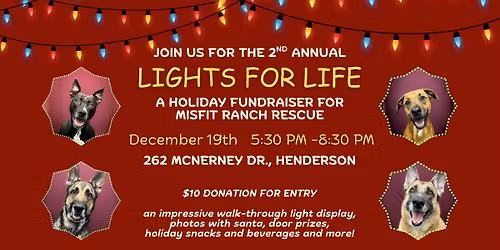 Lights for Life - A Misfit Holiday Fundraiser