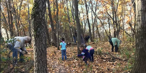 Monthly Buckthorn Removal