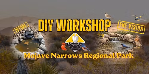 Bird Bath to Bird Oasis DIY Workshop