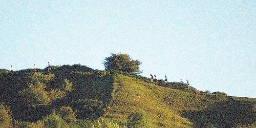 Ricky's Race Fell Race