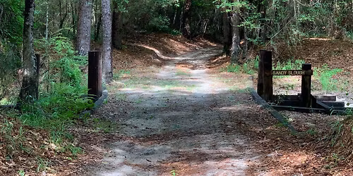 Last Saturday Volunteer Workday: Trail Cleanup