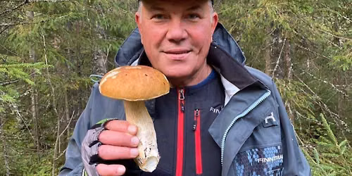 \ud83c\udf44 Wild Mushroom Foraging Adventure
