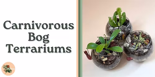 Carnivorous Bog Terrarium Workshop