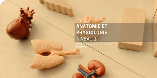 Anatomie et physiologie niveau 1