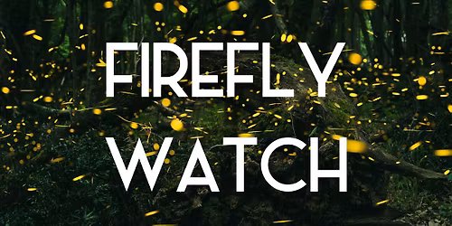 Firefly Watch