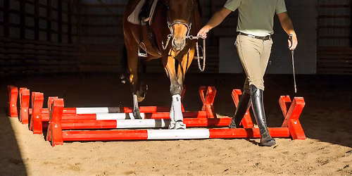 Cavalletti Clinic