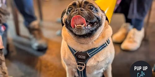 Leeds - Pug Pup Up Cafe \u2600\ufe0f